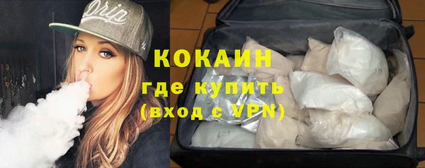 сатива Белокуриха