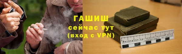 сатива Белокуриха