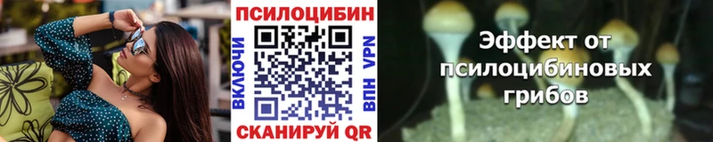 Псилоцибиновые грибы MAGIC MUSHROOMS  продажа наркотиков  Губкинский 